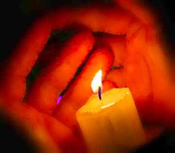 FX №18128 Image for profile picture Warm the hands off the candles.