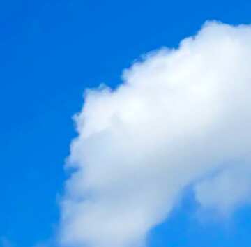 FX №18725 Image for profile picture White cloud.