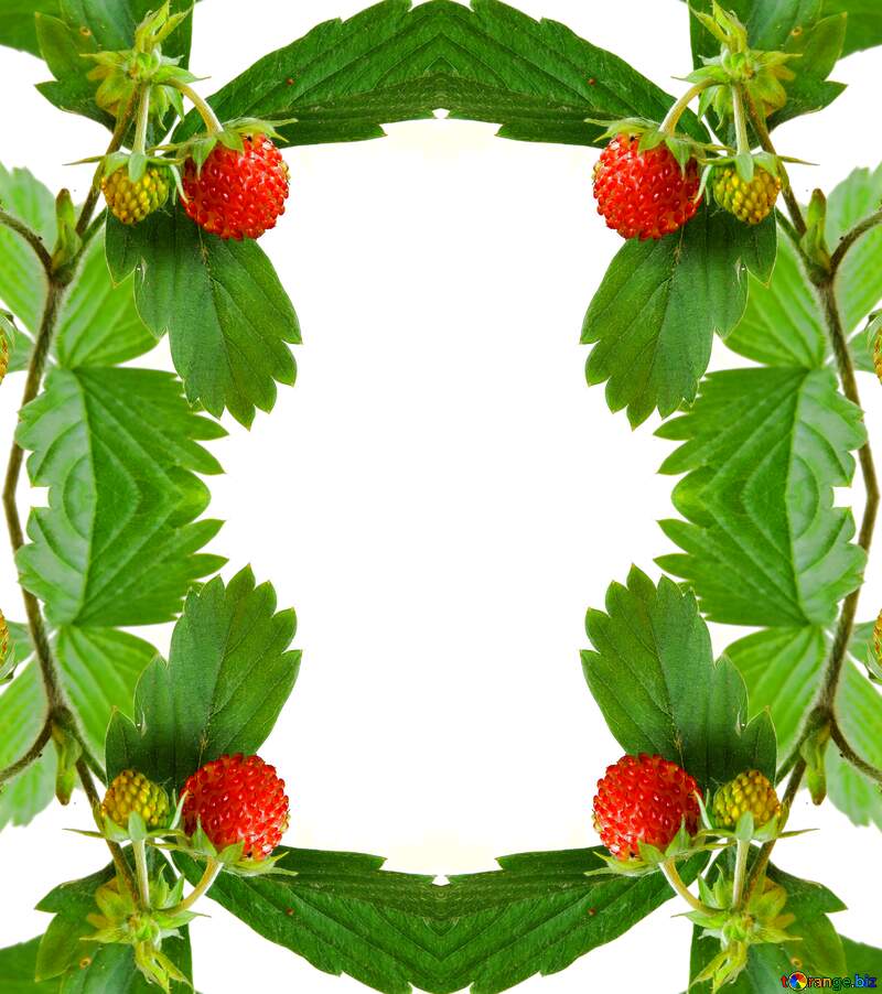 Frame strawberry on white background №27563