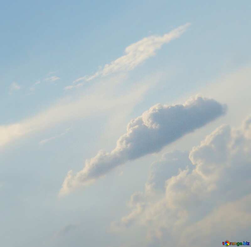 Image for profile picture Cumulus clouds in blue sky. №2000