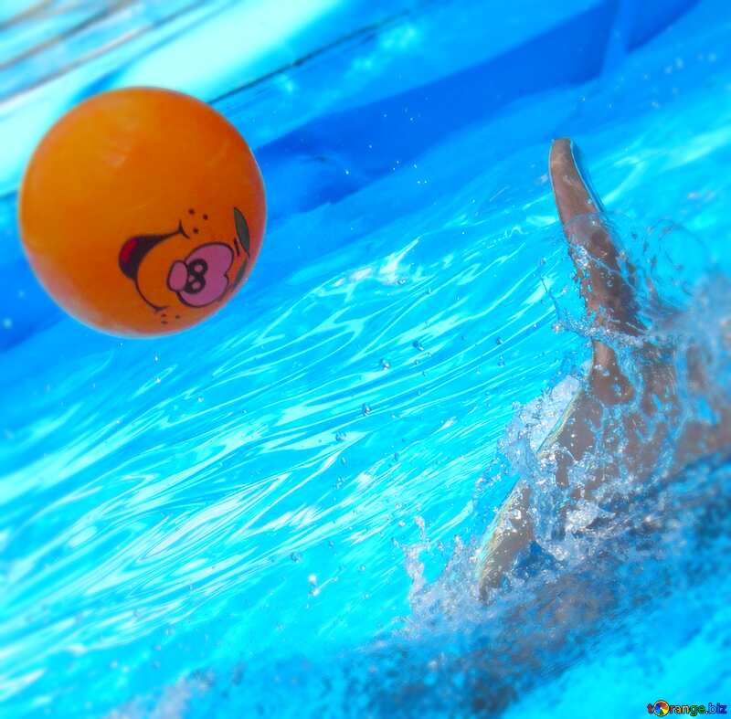 Image for profile picture Dolphins playing with ball. №25450