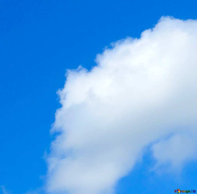 Image for profile picture White cloud. №24736