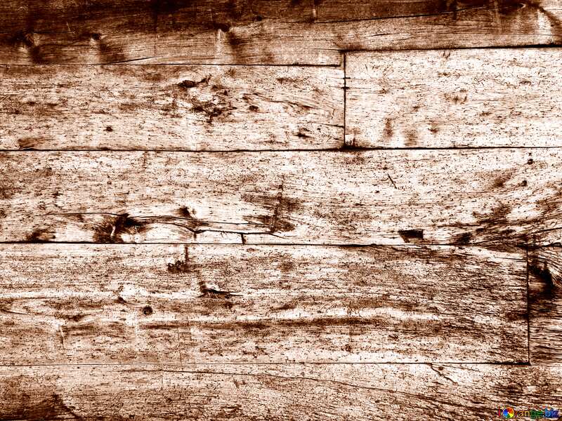 Monochrome. Texture of wood. №28696