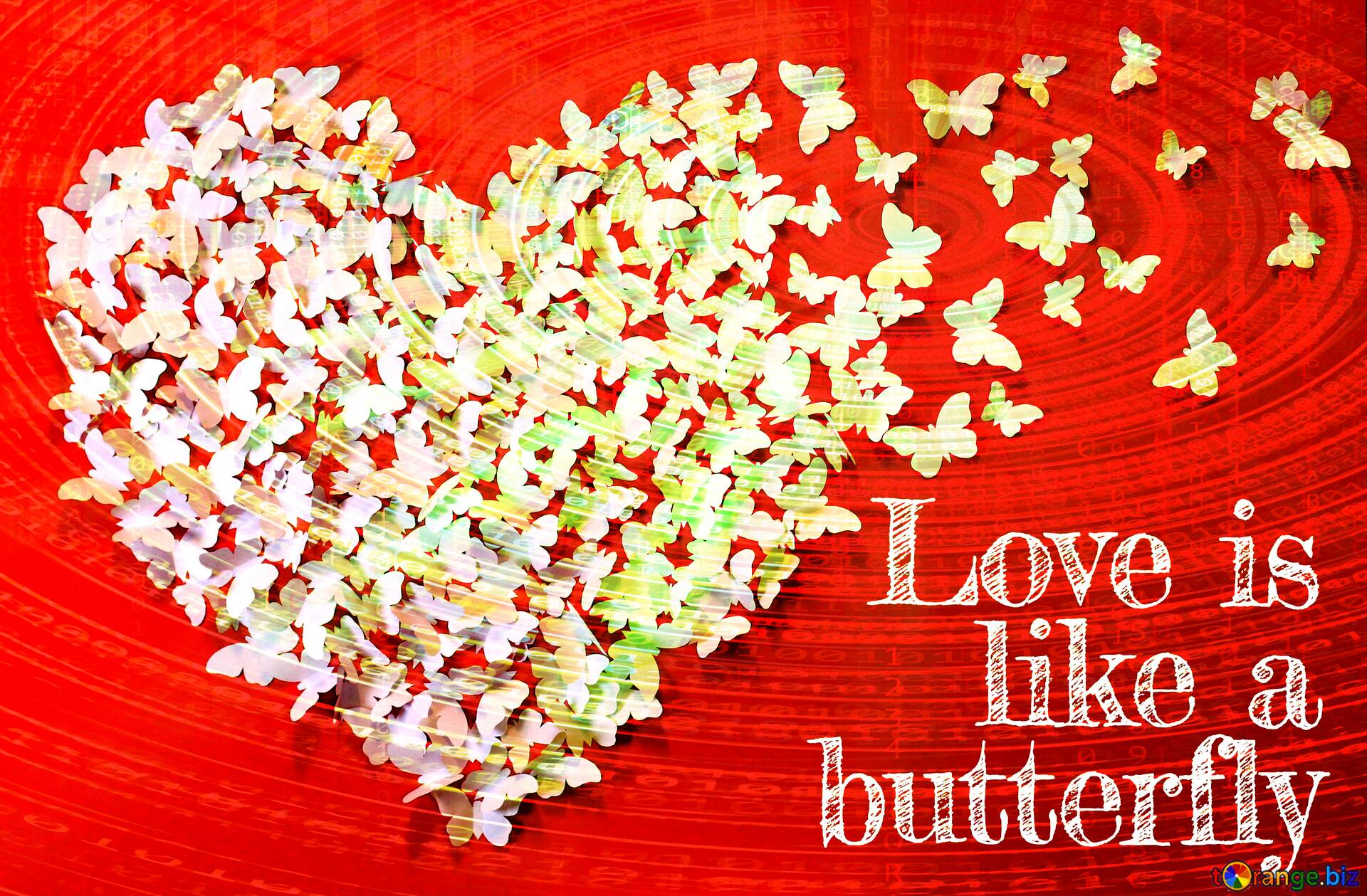 Download free picture Love butterfly. background on CC-BY License ~ Free  Image Stock  ~ fx №180846