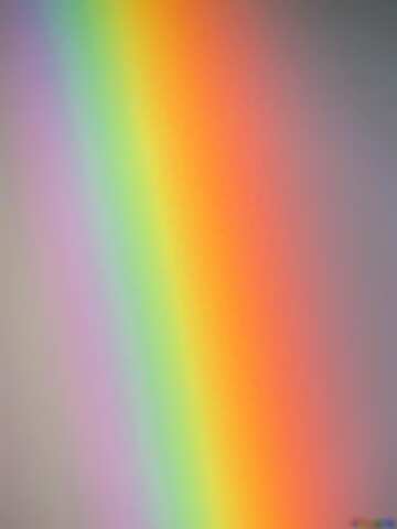 FX №180895  rainbow gradient