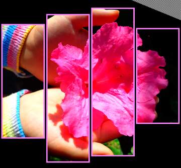 FX №180969  Flower in hands modular picture