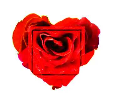 FX №180084  Rose heart art frame