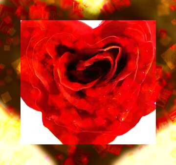 FX №180085  Rose heart love card