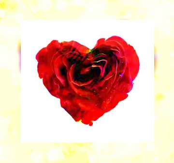 FX №180079  Rose heart love frame