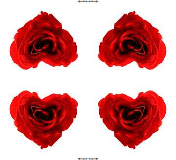 FX №180081  Rose heart pattern