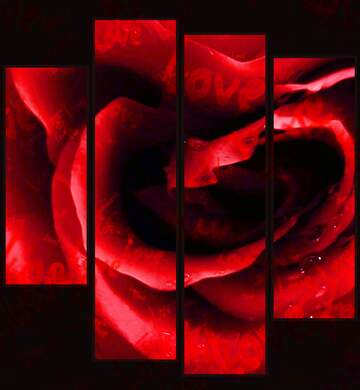 FX №180102 Rose love pattern