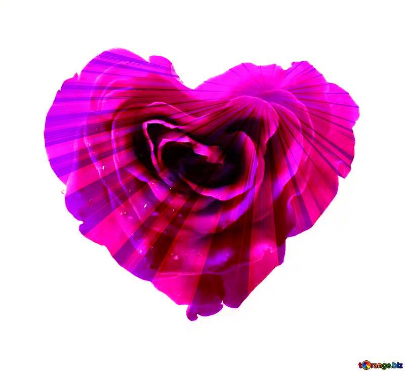 Blue  Rose heart №17029