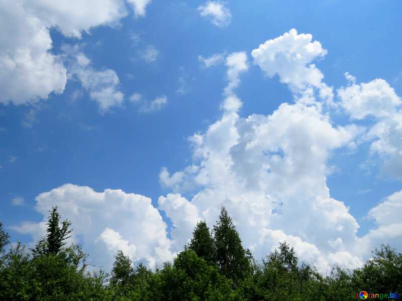 above cloud sky blue trees cielo arboles nubes №31599