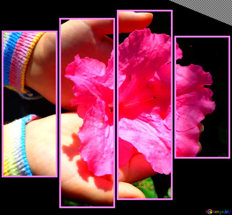  Flower in hands modular picture №19432