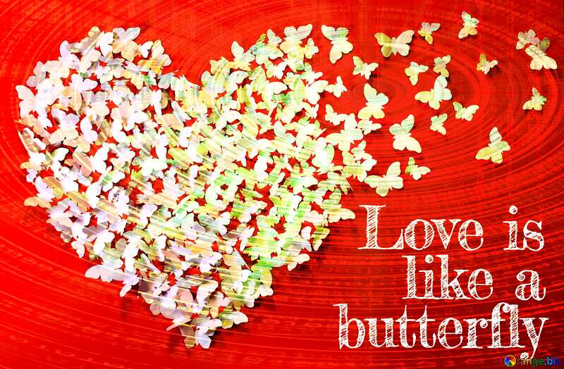  Love butterfly. background №49682