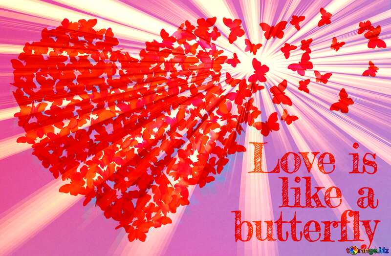 Love like a a butterfly love card background №49682