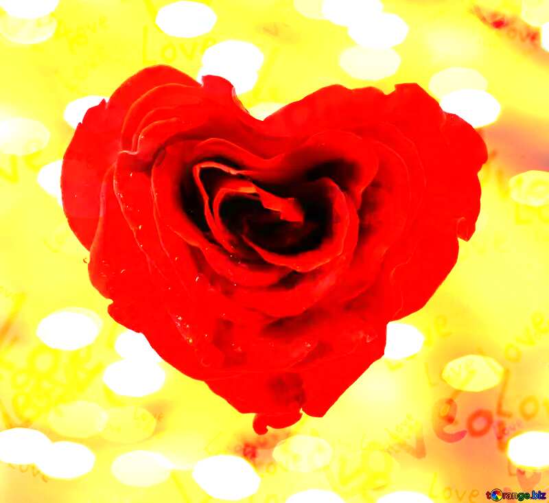  Rose heart lights background  love pattern №17029