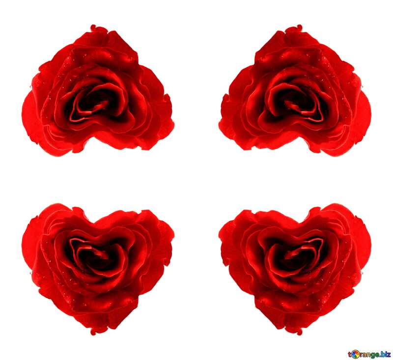  Rose heart pattern №17029