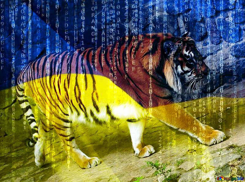 Ukrainian tiger №45748