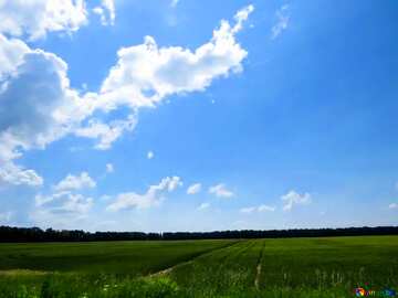 FX №181127  Beautiful bright sky above green field