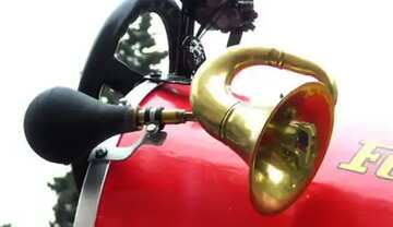 FX №181320  Car vintage horn