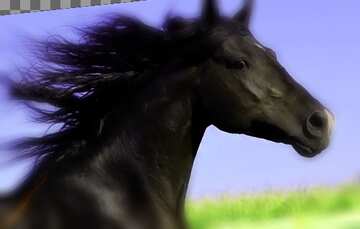 FX №181400 Running horse  blur  frame