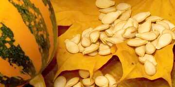 FX №181381 Seeds of  pumpkin