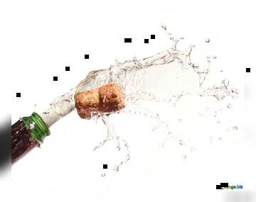 FX №181009 Bottle of champagne isolated
