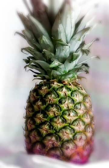 FX №181571 Pineapple