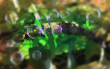 FX №181461  Multicolored bubbles blure frame