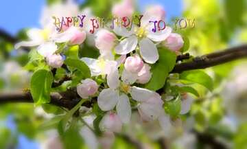 FX №181093 Happy birthday card Apple trees in bloom