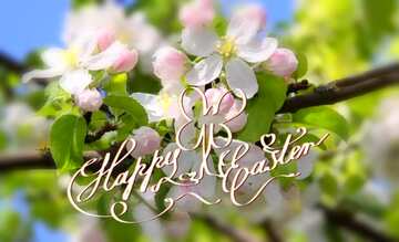 FX №181089  happy easter card Apple trees in bloom