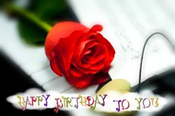 FX №181470  happy birthday rose