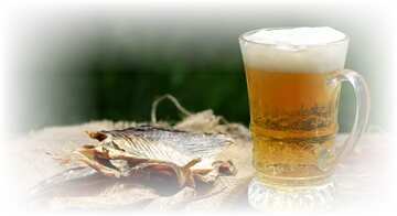 FX №181401 Fish and beer