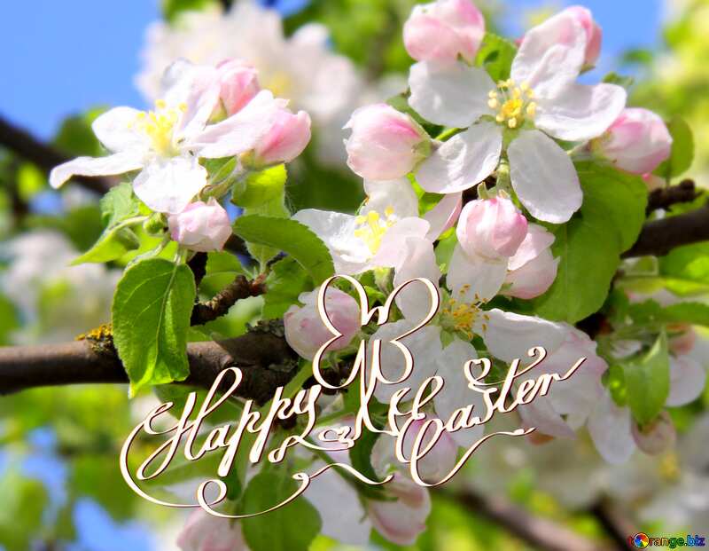Apple trees in bloom Happy Easter №1815