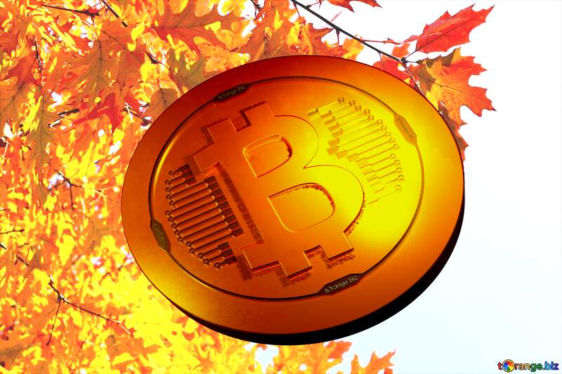 Bitcoin gold light coin Autumn leaves background №38529