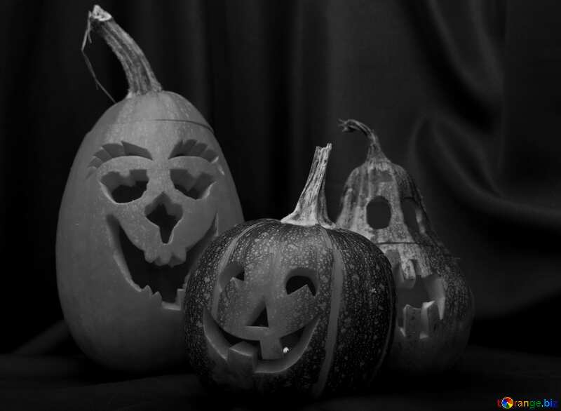 Funny pumpkin black and  white picture №5917