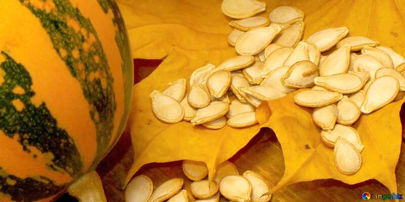 Seeds of  pumpkin №35532