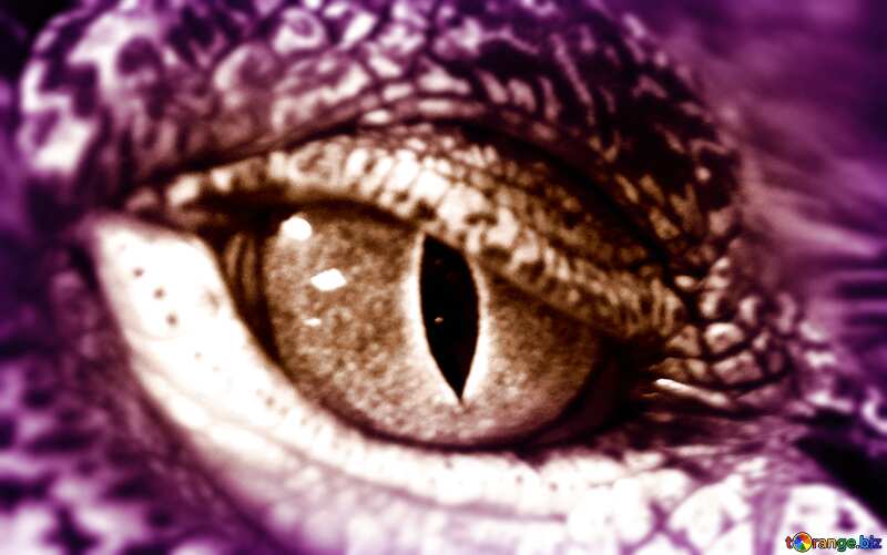  Eye crocodile toned sepia blur frame №11303