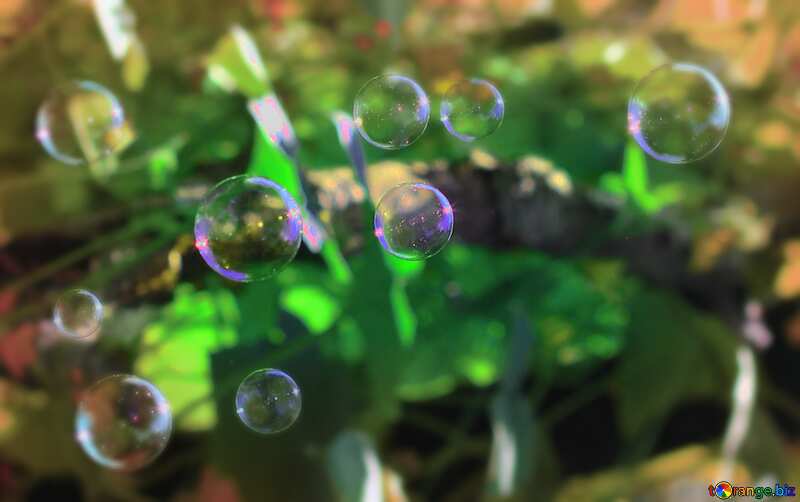  Multicolored bubbles blure frame №32952