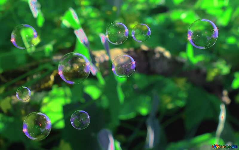  Multicolored bubbles №32952