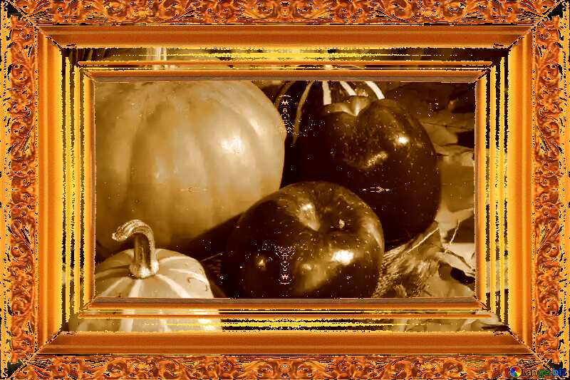 Autumn  Apples and pumpkins on leaves picture old gold frame №35322
