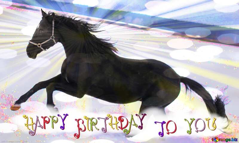 happy birthday card Horse snow №18193