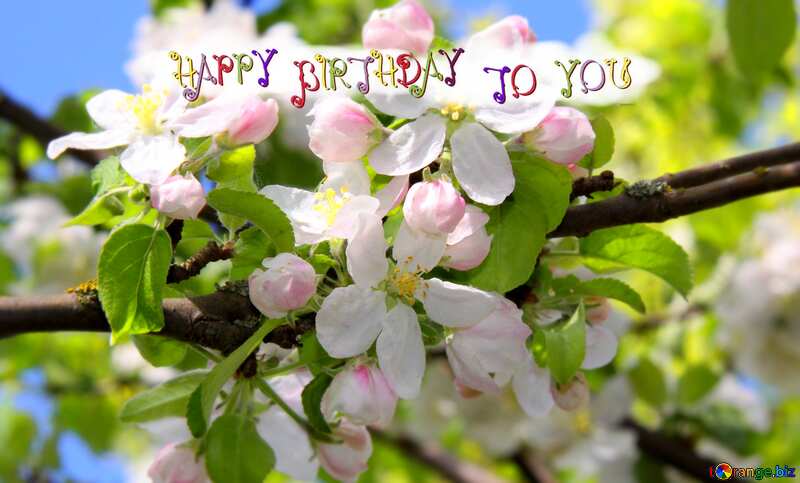  Apple bloom happy birthday card blur frame №1815