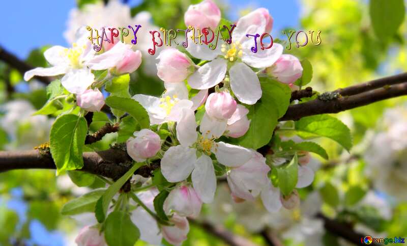 Happy birthday card Apple trees in bloom №1815