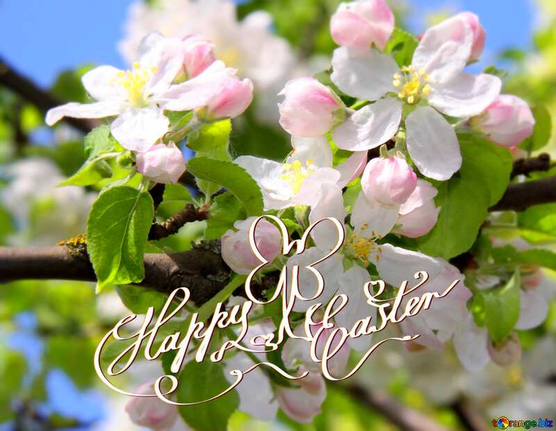  Apple trees in bloom happy easter card №1815