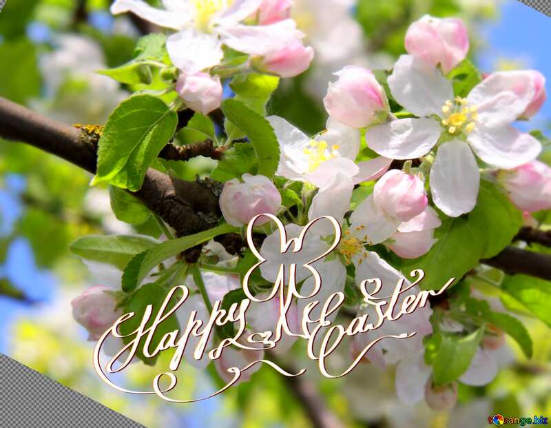  happy easter card spring  trees in bloom №1815