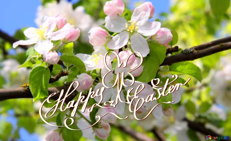  happy easter card Apple trees in bloom №1815
