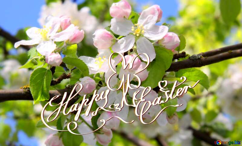  Apple bloom happy easter card №1815