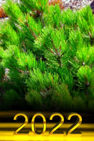 FX №182744 2022 gold digits   decorative pine leaf happy new year 2022